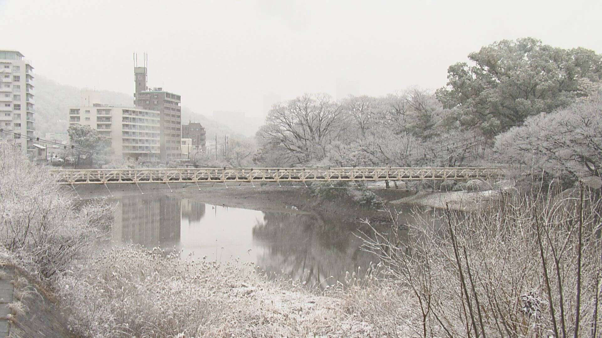 県内全域に大雪注意報　【広島】